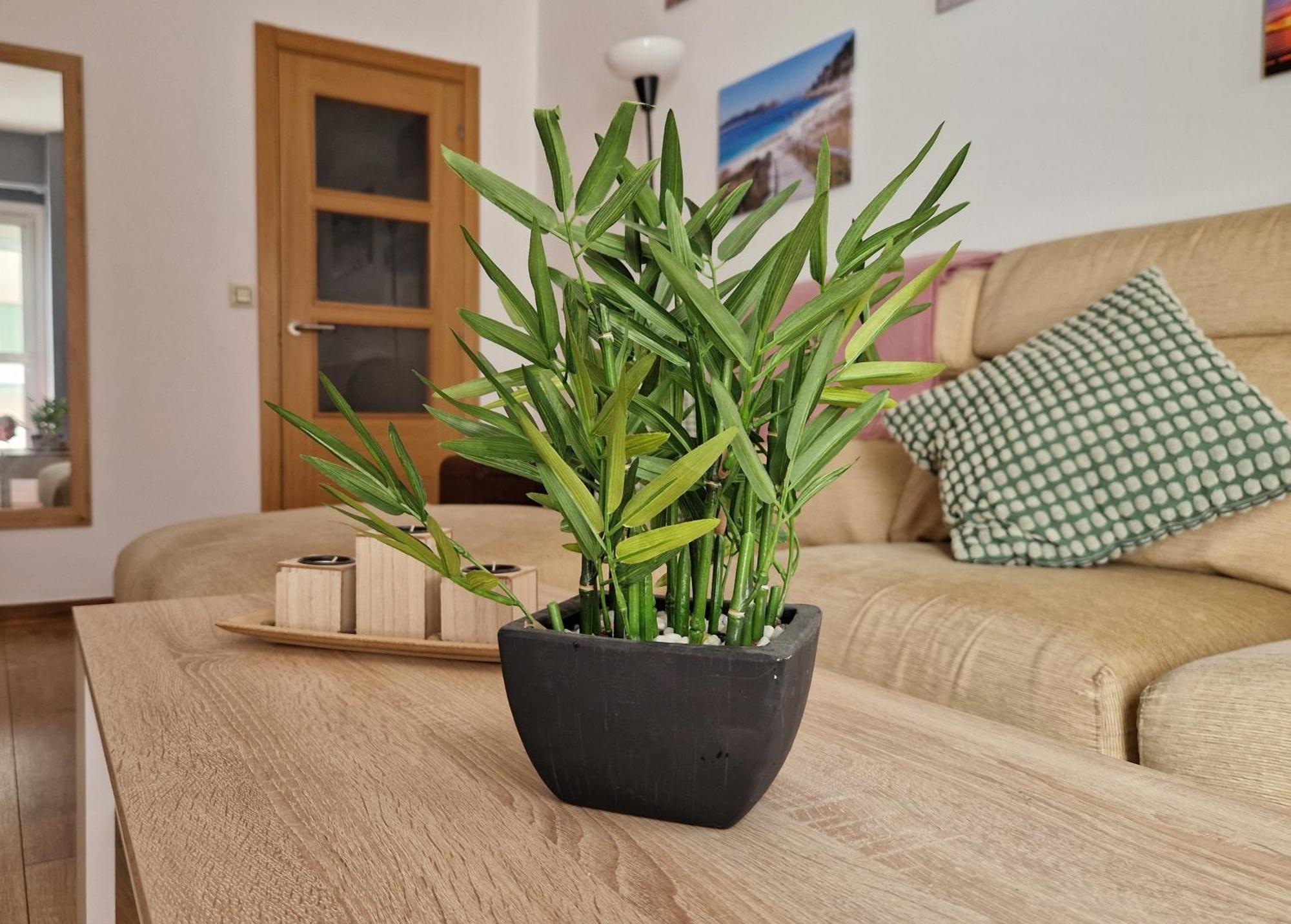 Apartamento Playa Bouzas - Vigo - Parking Free Εξωτερικό φωτογραφία